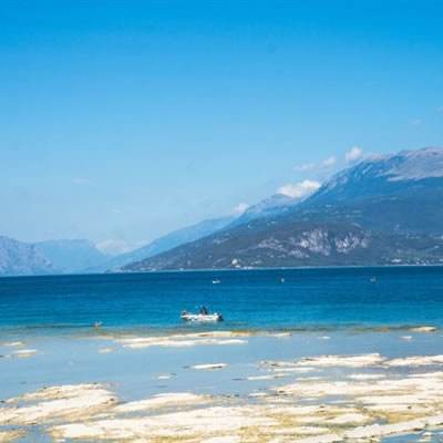 幸运彩票app下载苹果截图